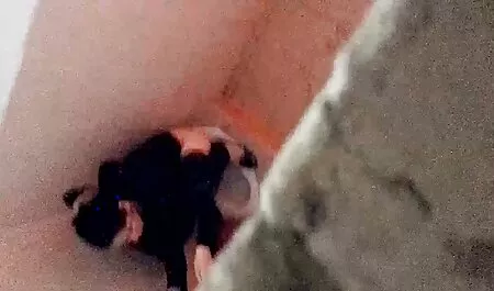 サンドラ イケメン えろ 動画